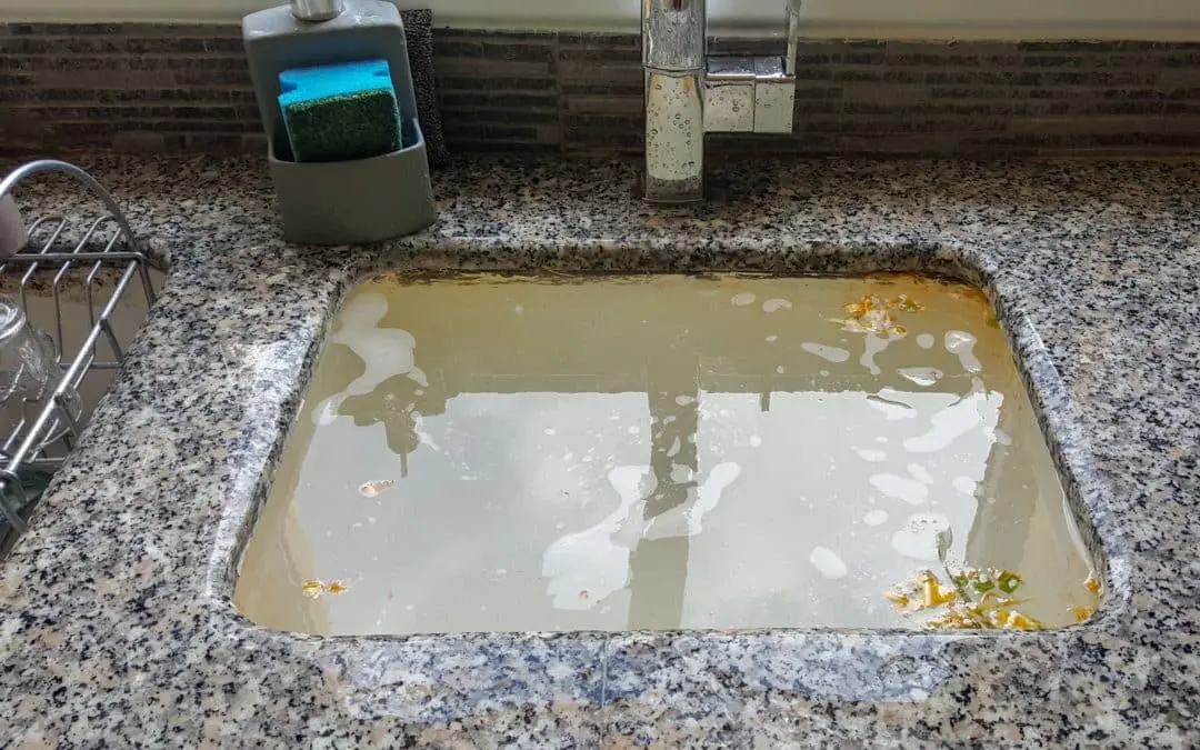 Signs You Need a Professional Drain Cleaning