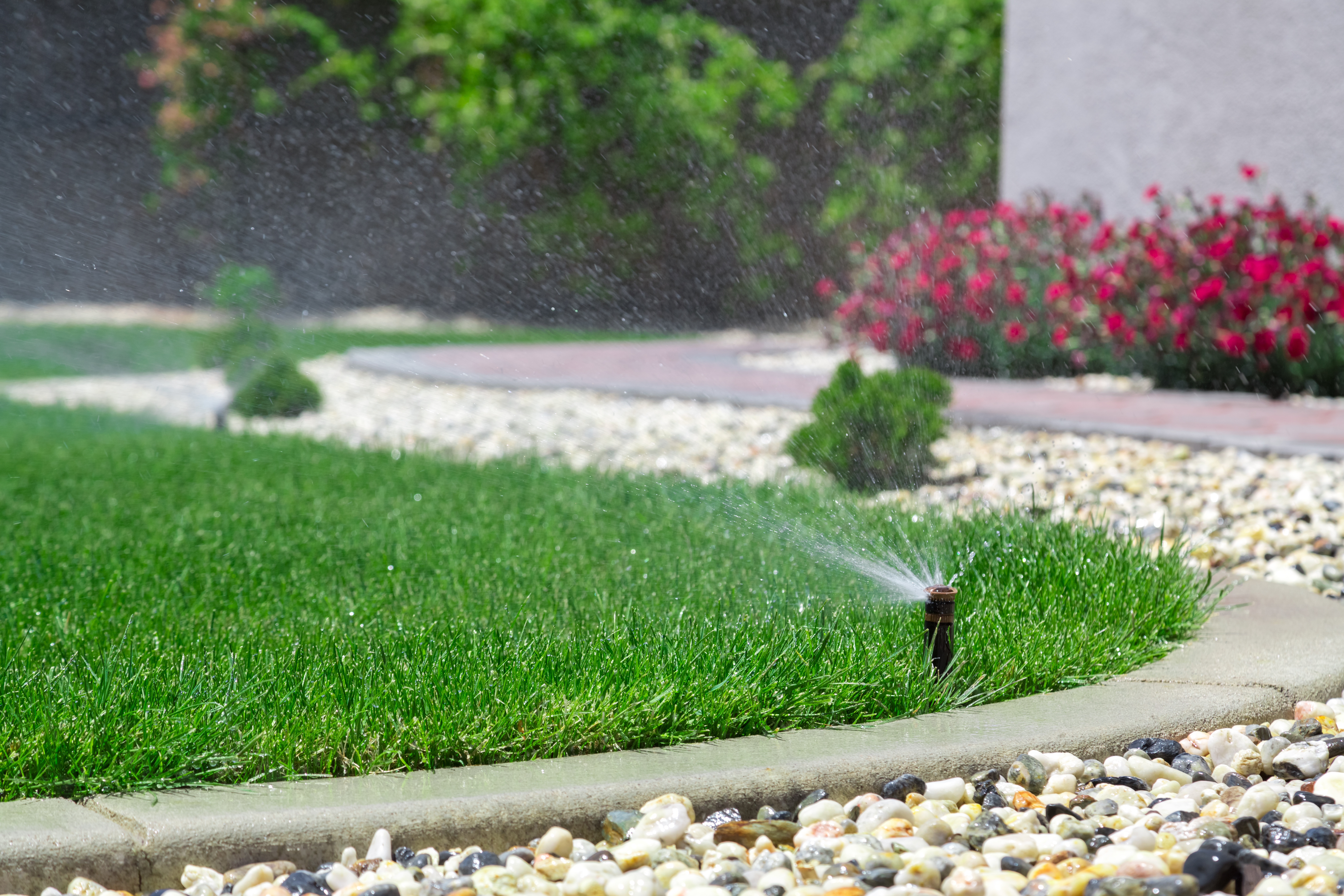 How To Curb Water Usage This Summer