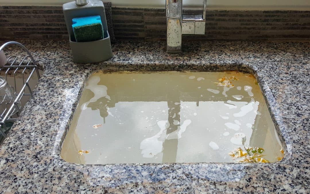 Signs You Need a Professional Drain Cleaning